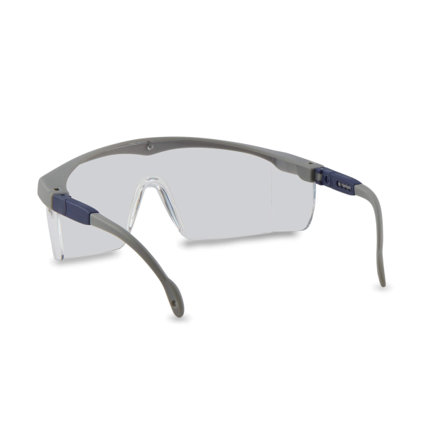 PEGASO*43.9 Gafas BASIC-7 - PC Incolora