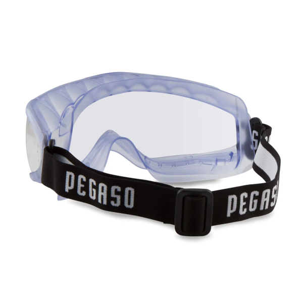 PEGASO*21 Gafas XL Google Incolora