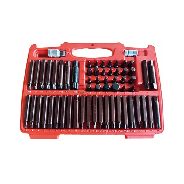 ROGEN*Estuche 60 puntas TORX+ALLEN+XZN - US-1132