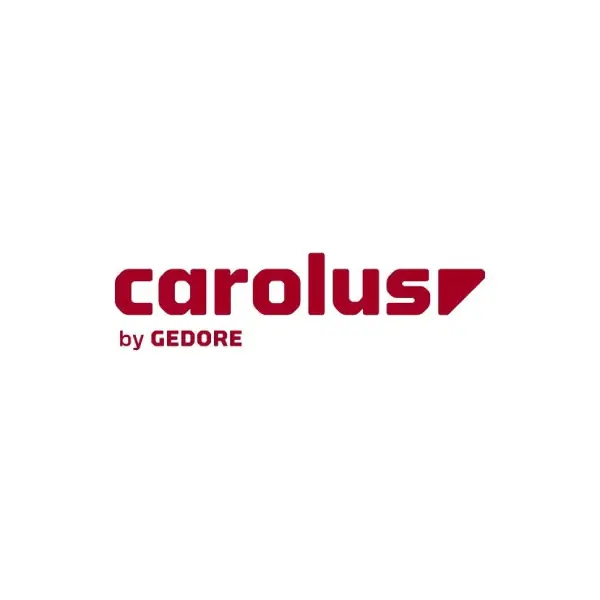 CAROLUS*Carraca reversible 1/4" - 7190.30 *