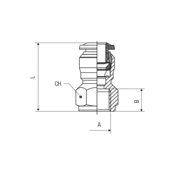 AIGNEP*Racor recto hembra - 50030 8 1/8